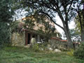House1
