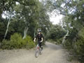 Bike riding
