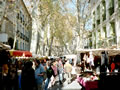 Ceret market